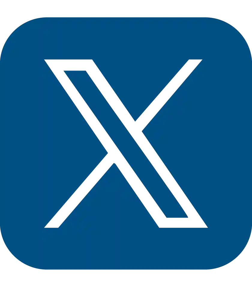 x-icon